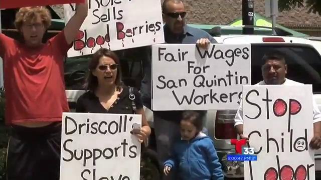 Inician boicot en San Diego para apoyar a jornaleros agrícolas en San Quintín