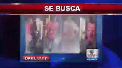Buscan ladrón en Dade City
