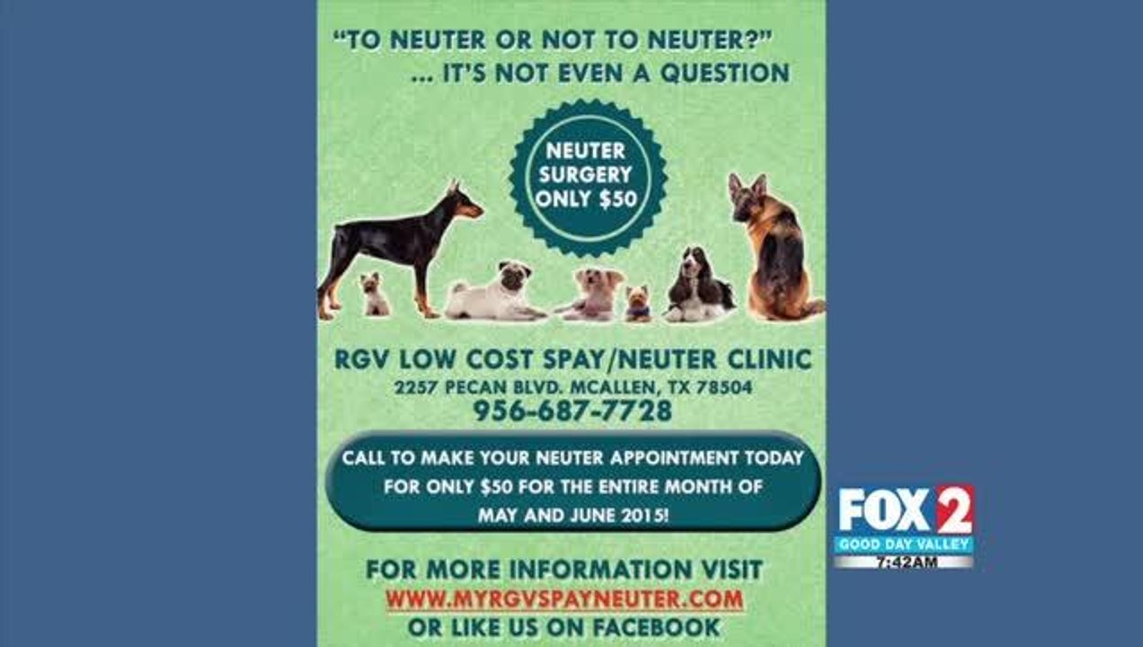 neuter