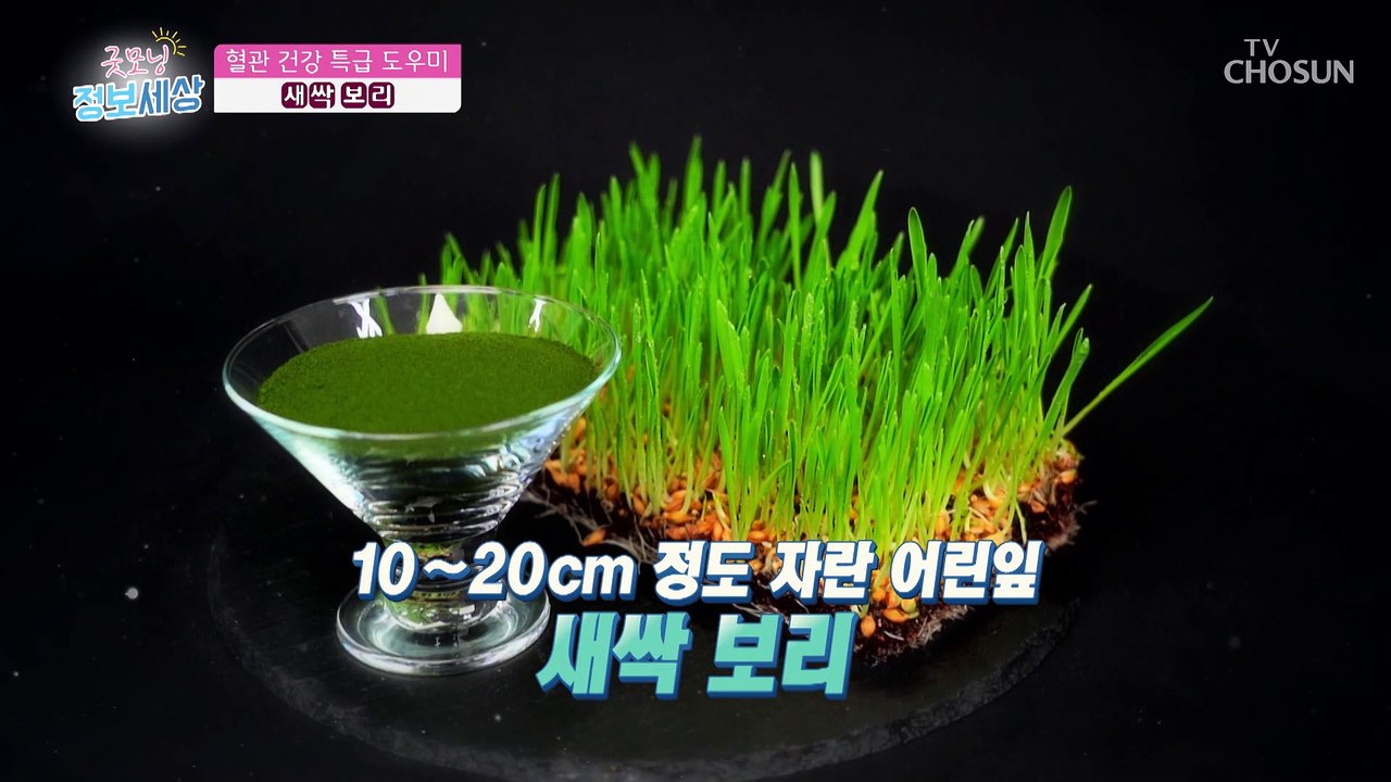 ‘나쁜 콜레스테롤’ 감소에 좋은 혈관 청소기 『○○○○』 TV CHOSUN 21111...