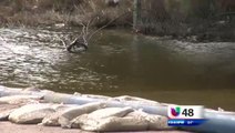 Reaccionan Residentes ante Daños por Torrenciales Lluvias