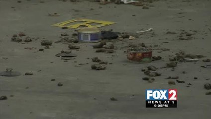 Fifteen Dead Cats Found inside Pharr Apartment