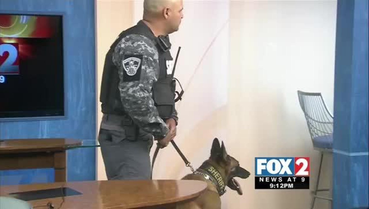 Hidalgo County Sheriff\'s Office K-9 Deputies W...