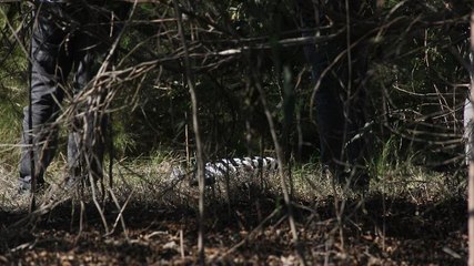 Coronaya yakalandı, evden kovulunca intihar etti