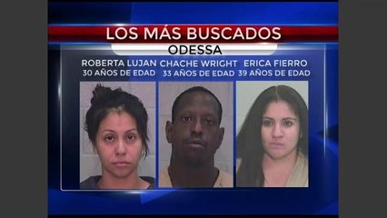 Los cinco mas buscados