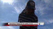 Transforman el desierto de Samalayuca con la ayuda de los  trarahumaras