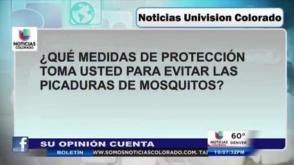 Su opinión cuenta: mosquitos