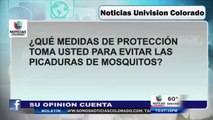 Su opinión cuenta: mosquitos