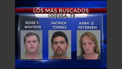 Los cinco más buscados