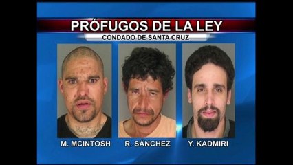 Prófugos de la ley