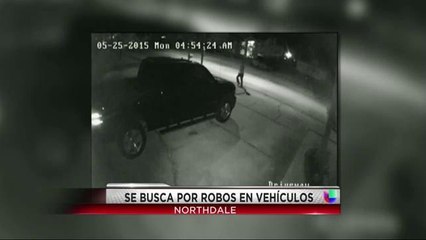 Captado en cámara ladrón de Tampa.