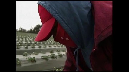 Permisos a indocumentados