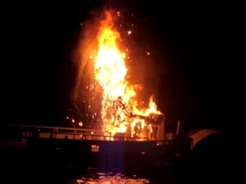 carnaval de nice, incinération du roi, feux d'artifice