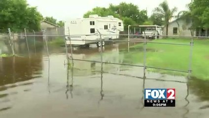 Outdoor Animals Drowning in Flood Waters