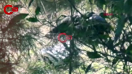 Babasının evden kovduğu genç, ölü bulundu