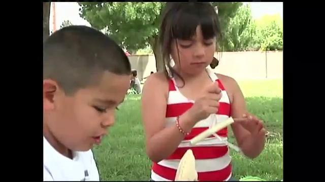 Programa piloto de comida saludable y salud