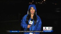 Estragos ocacionados por tormenta en el área metropolitana