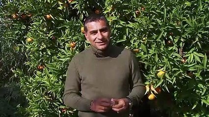 Teaser Vos Recettes de Noël, région Corse
