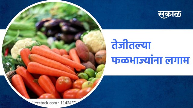 Mumbai ;भाज्यांची आवक वाढू लागल्याने भाज्या झाल्या स्वस्त !; पाहा व्हिडीओ