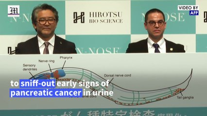 Japan firm uses worms to sniff out cancer