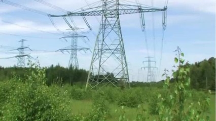 Électricité : pas de baisse de taxes en vue pour limiter la hausse des tarifs