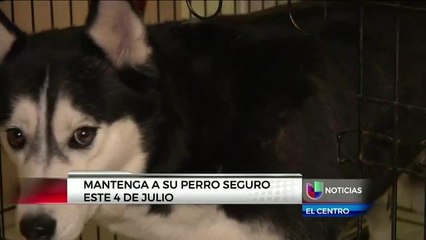 Cuidado de mascotas