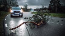 Cette technologie de Volvo devrait réduire les risques d’accidents