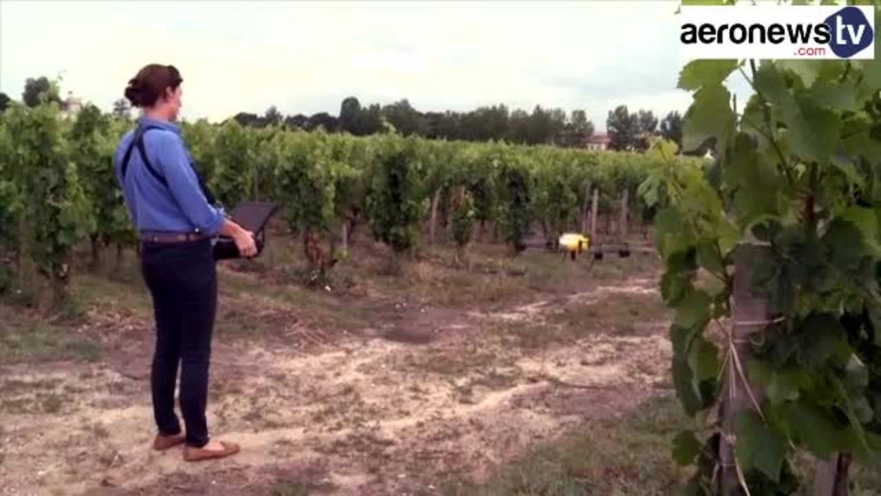 Les drones au service des vignobles