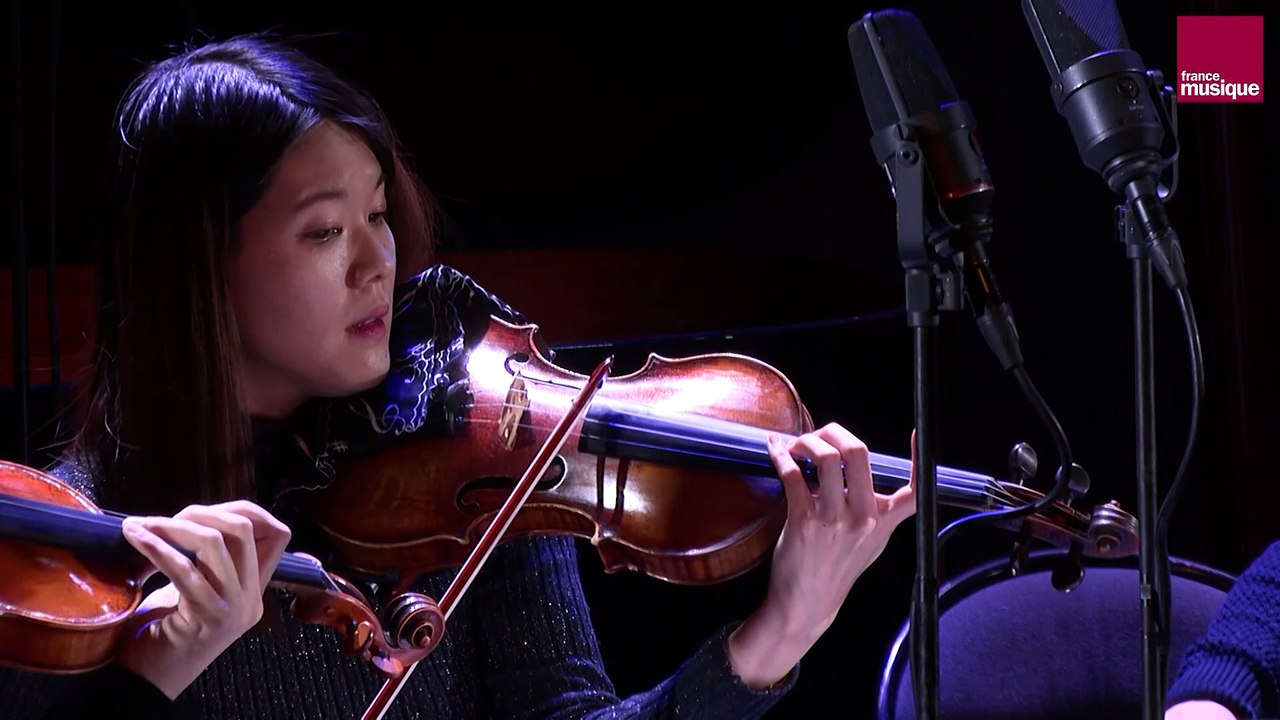 Franz Schubert : Quatuor à cordes n° 13 en la mineur D. 804 « Rosamunde » (II. Andante)