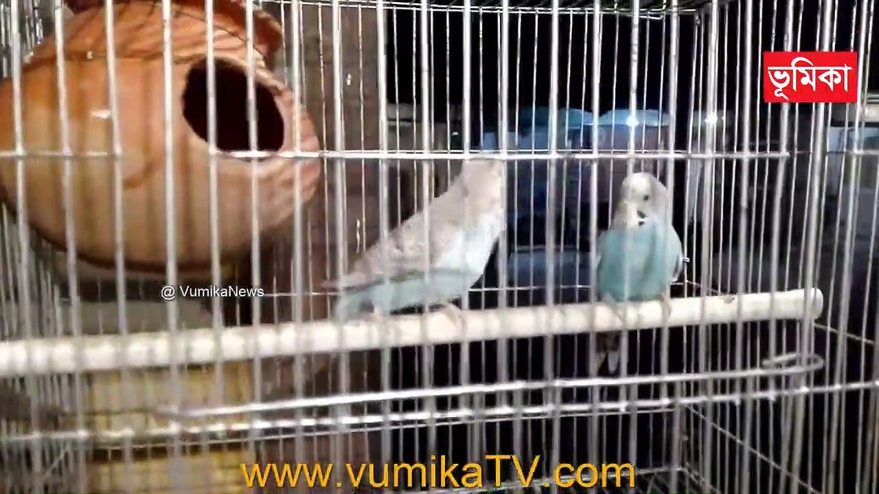 beautiful brith house Vumika Agro #ভূমিকা_টিভি #vumikaTV #vomikatv