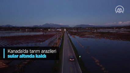Kanada'da tarım arazileri sular altında kaldı