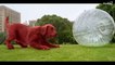 Der will doch nur spielen! Exklusiver Ausschnitt aus „Clifford - Der große rote Hund“ Deutsch German (2021)