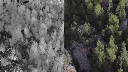 Kaybolan 3 yaşındaki çocuğun arandığı bölgede kan izine rastlandı (3)