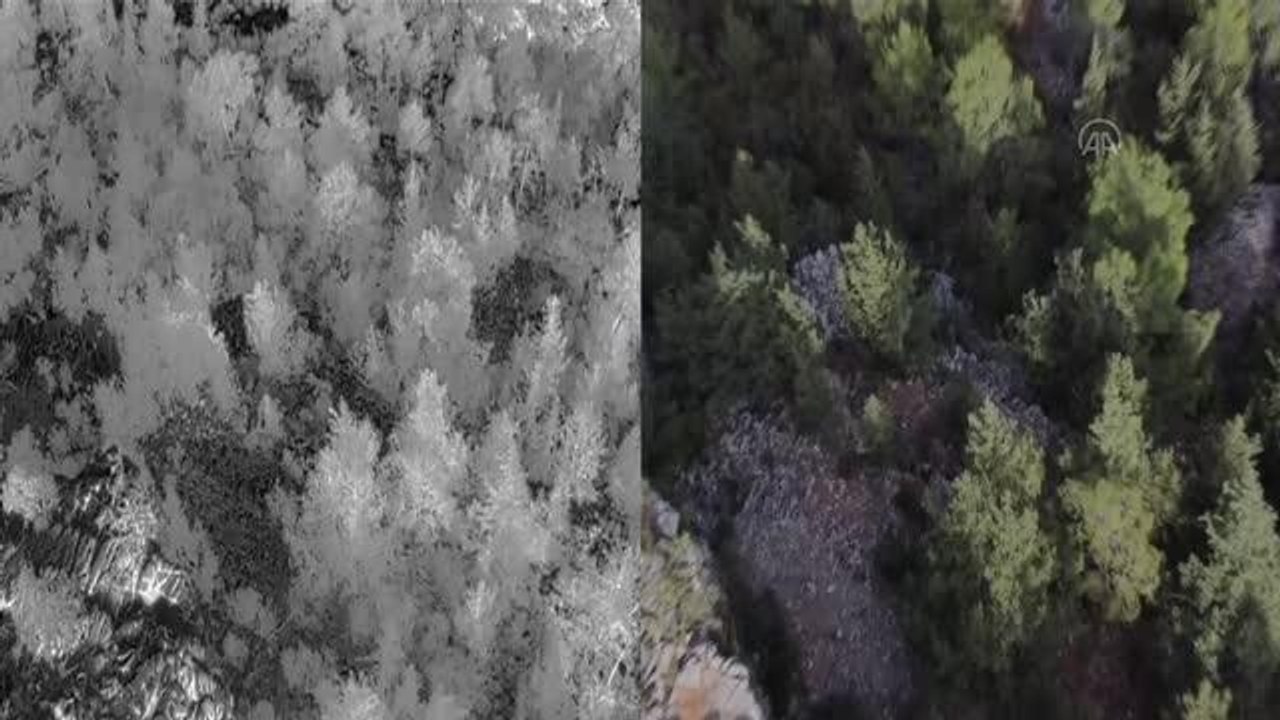 Kaybolan 3 yaşındaki çocuğun arandığı bölgede kan izine rastlandı (3)