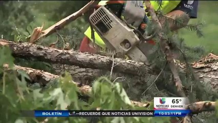 Estragos de la madre naturaleza