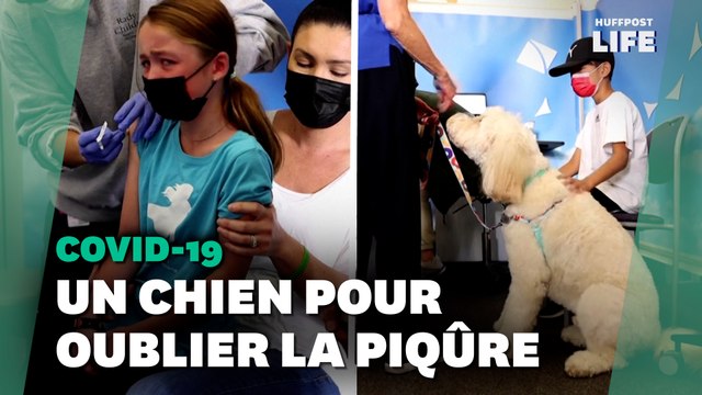 Pour aider les enfants à se faire vacciner, cet hôpital aux États-Unis s’est entouré de chiens