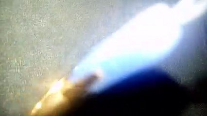 Hewan Aneh Di Atas Leptop