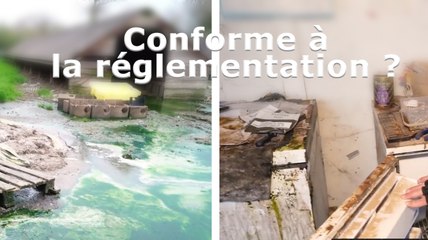 L214 prend en flagrant délit de mensonge les services vétérinaires de Vendée