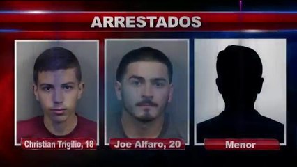 Arrestados por ola de robos en el área