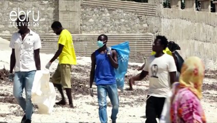 Malindi Miraa Users Are Spoiling Malindi Beaches