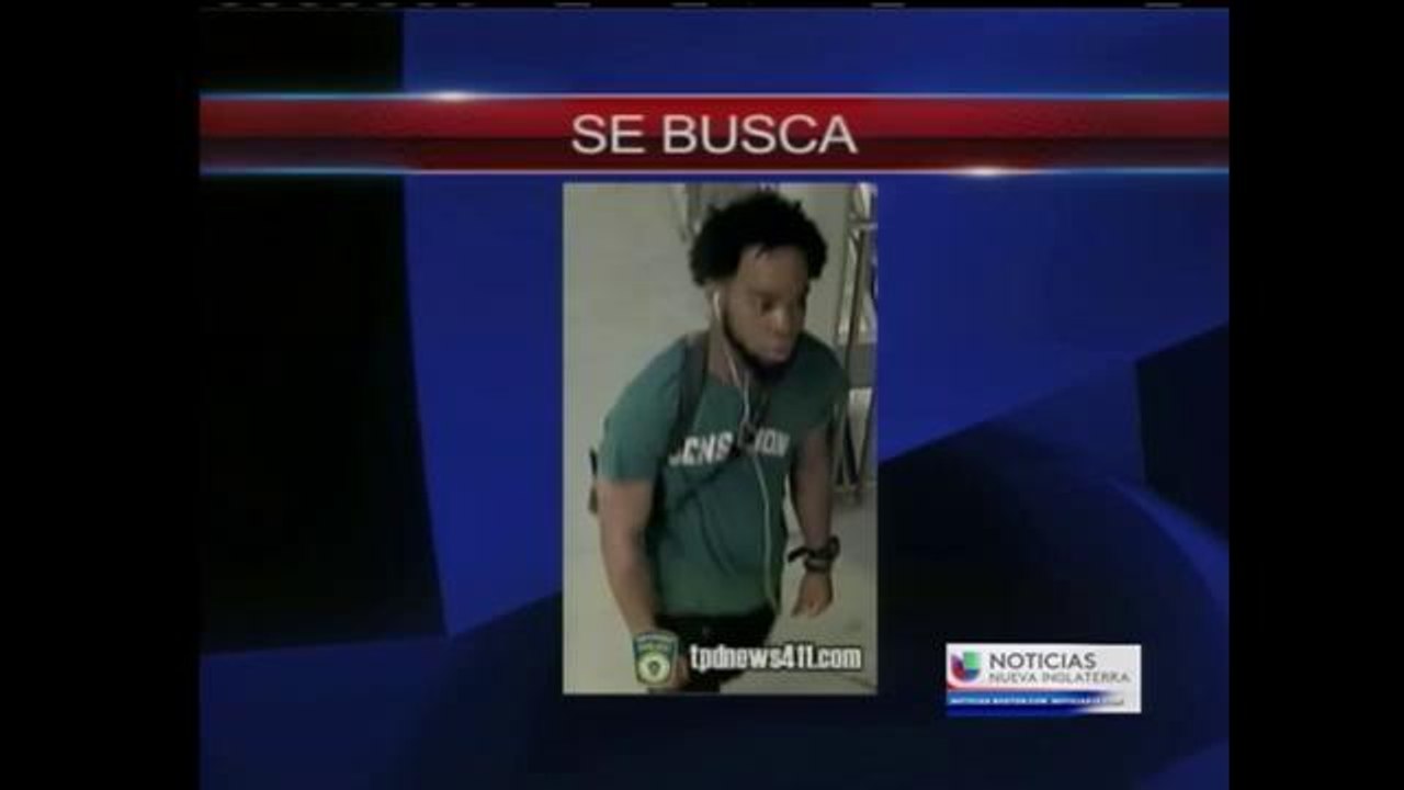 Se busca