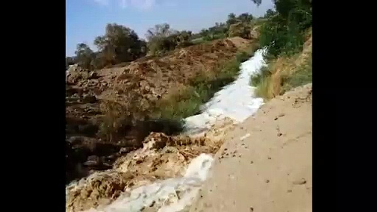 Αίγυπτος: Οι πλημμύρες έβγαλαν τους σκορπιούς από τις φωλιές τους