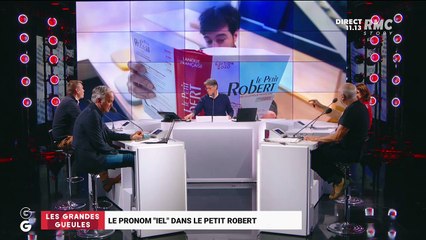 Le pronom "iel" dans Le Petit Robert - 17/11