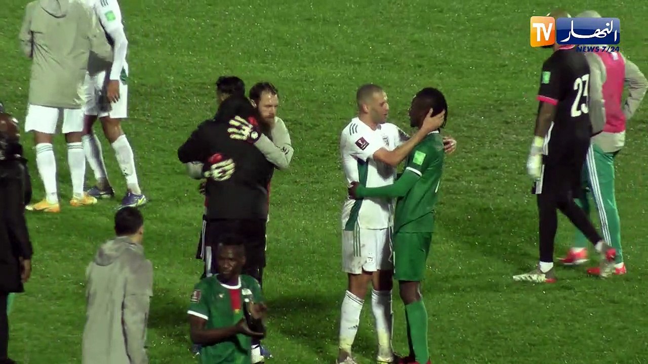 فرحة  بلماضي لاعبي المنتخب الوطني بعد التأهل إلى المباراة الفاصلة في تصفيات كأس العالم