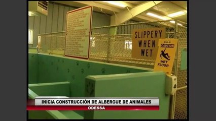 Inicia construcción de albergue de animales