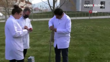 Malatya’da bilim insanları kayısıdan roket yakıtı üretti