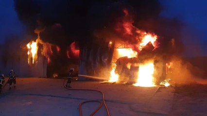 Son dakika haber! Tekirdağ'da çıkan yangında ceviz işleme tesisi kullanılamaz hale geldi