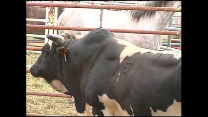 La sequía y el impacto económico en la industria agrícola
