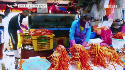 바닷가 사람들 - 동해의 붉은 보석! 주문진 홍게잡이_#001