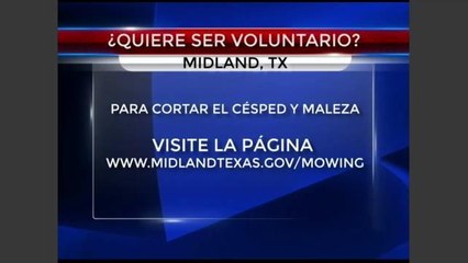 Voluntarios contra cesped y maleza